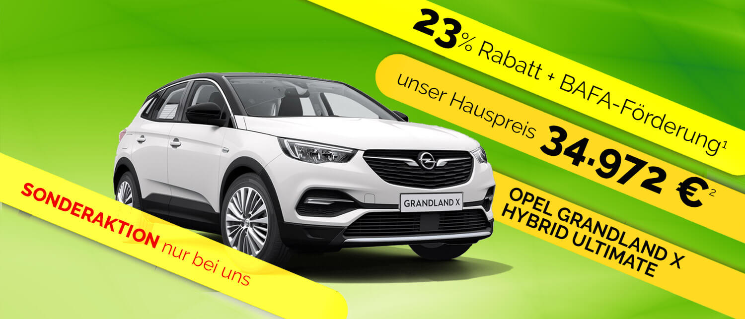 https://www.opel-rau.de/fileadmin/Autohaus_Rau/Aktionen/Opel-Grandland-X-Hybrid-Sonderaktion/Grandland-X-Hybrid-Hauspreis.jpg
